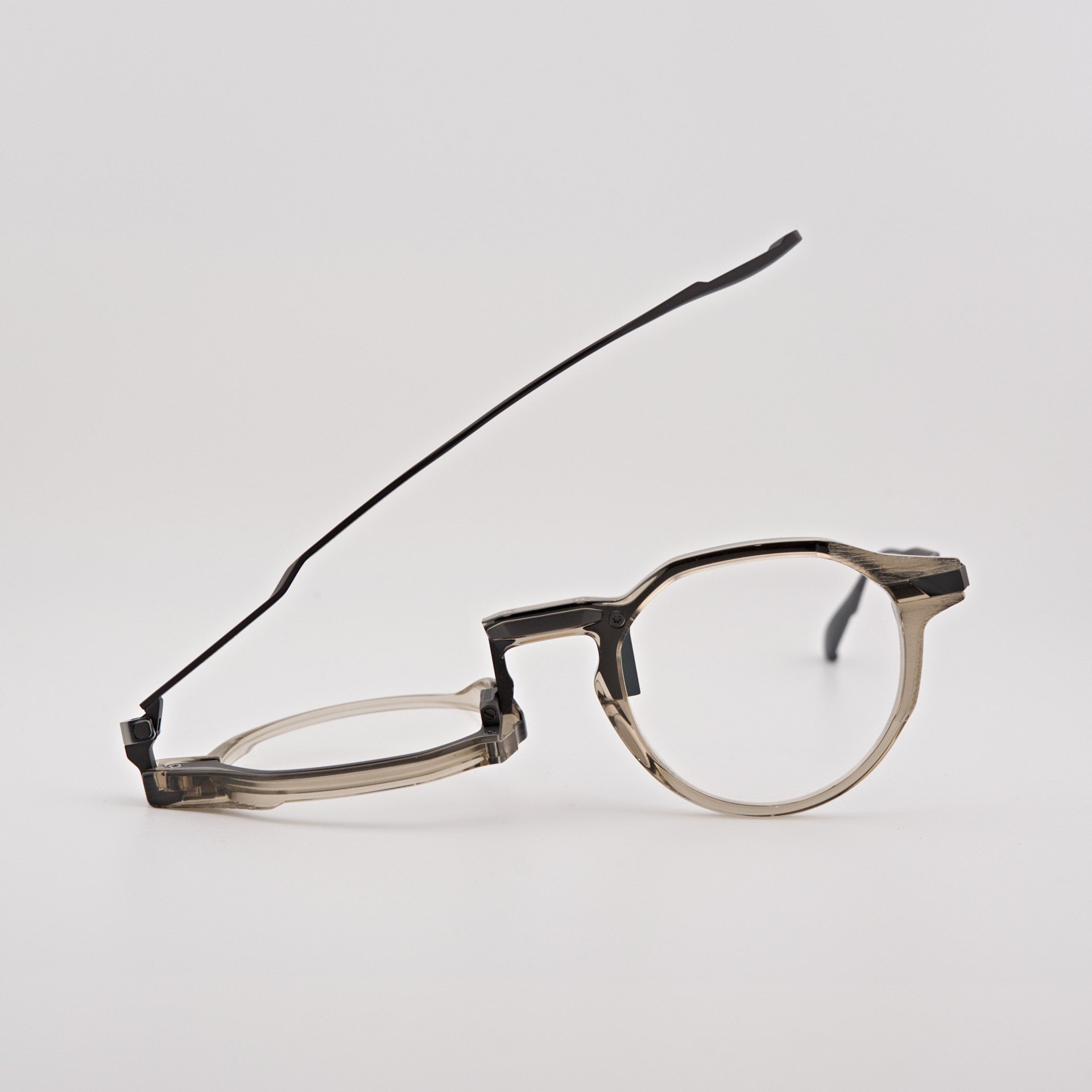 MOVITRA INCEPTUS 03 tortora