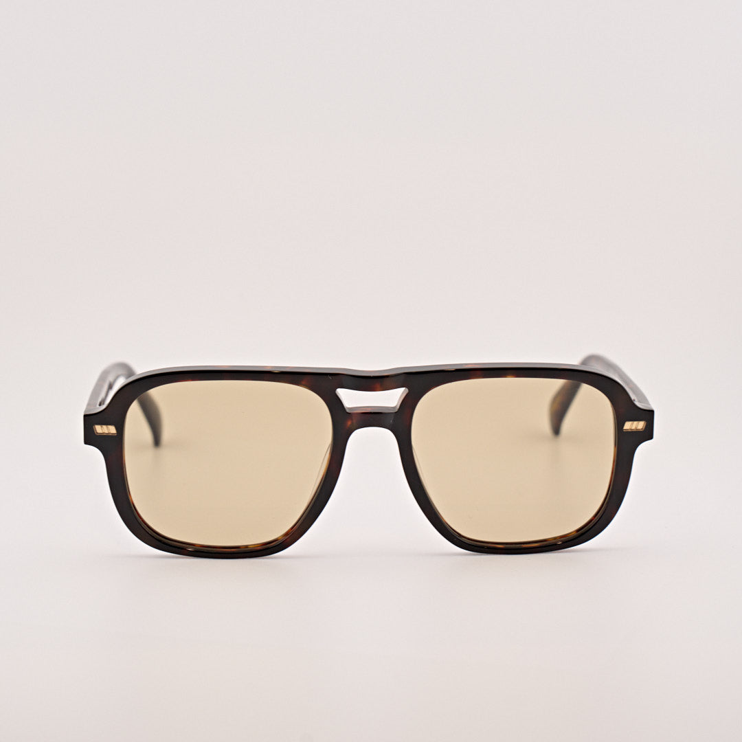 GAST SYN classic havana