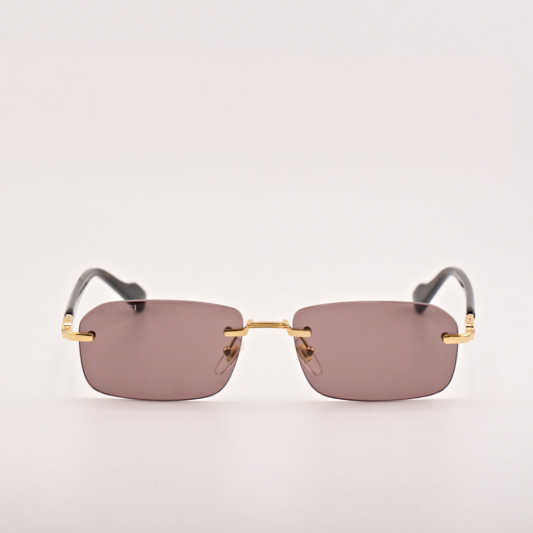 GUCCI GG1221S marrone
