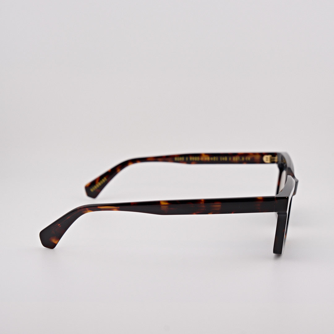 GAST RARE classic havana