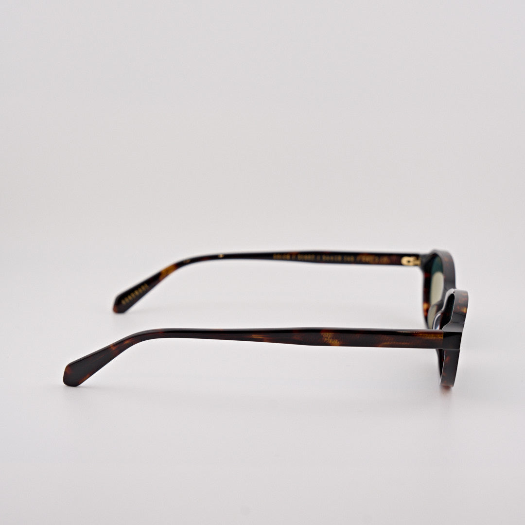 GAST SOLEA classic havana