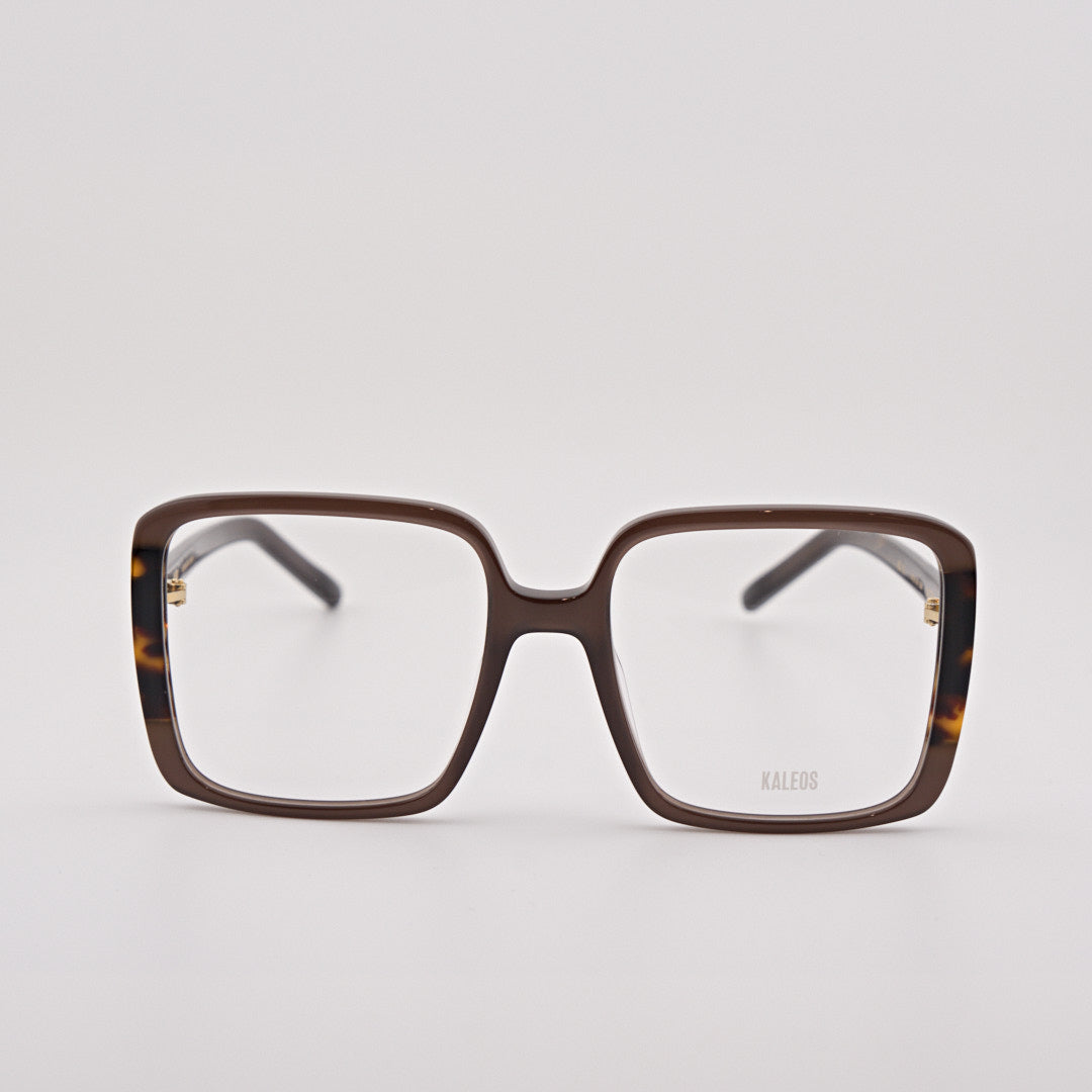 KALEOS CASTRO marrone