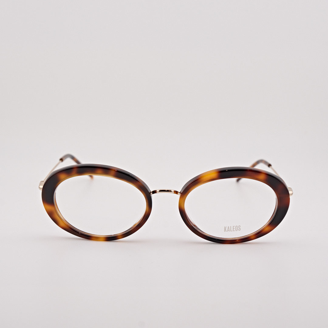 KALEOS DANNON tartarugato