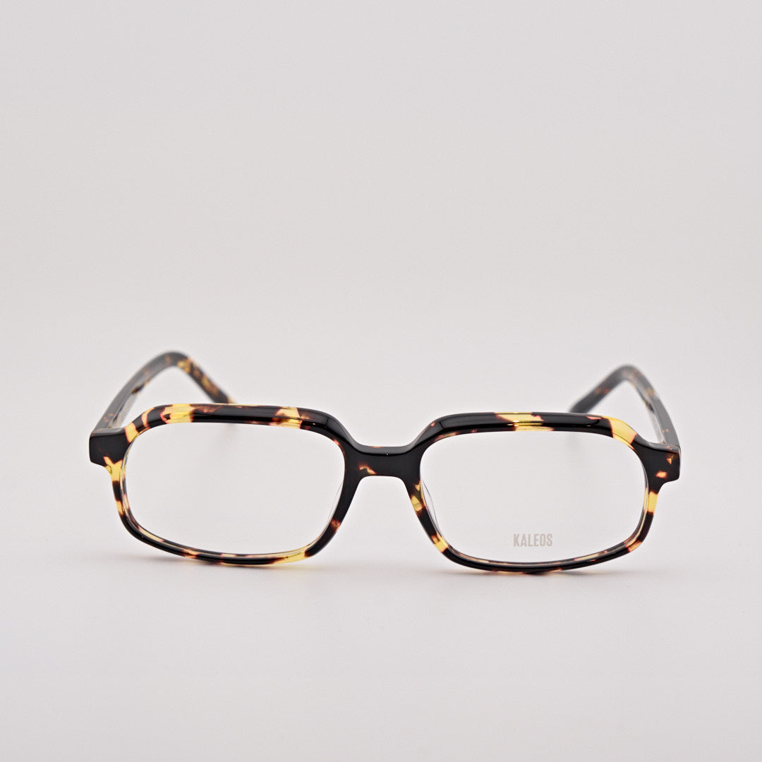 KALEOS WARREN tartarugato