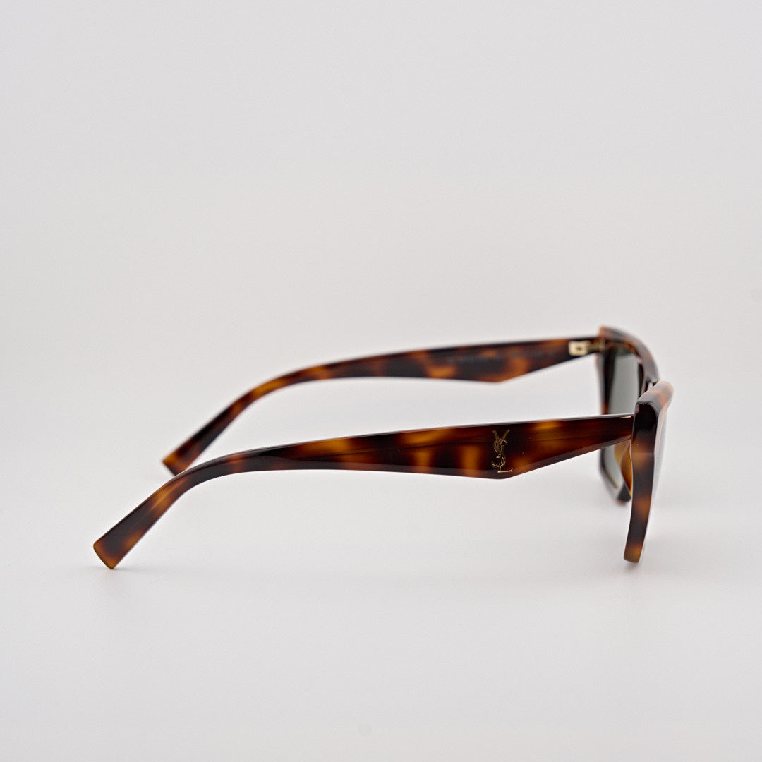 SAINT LAURENT SL M103 havana