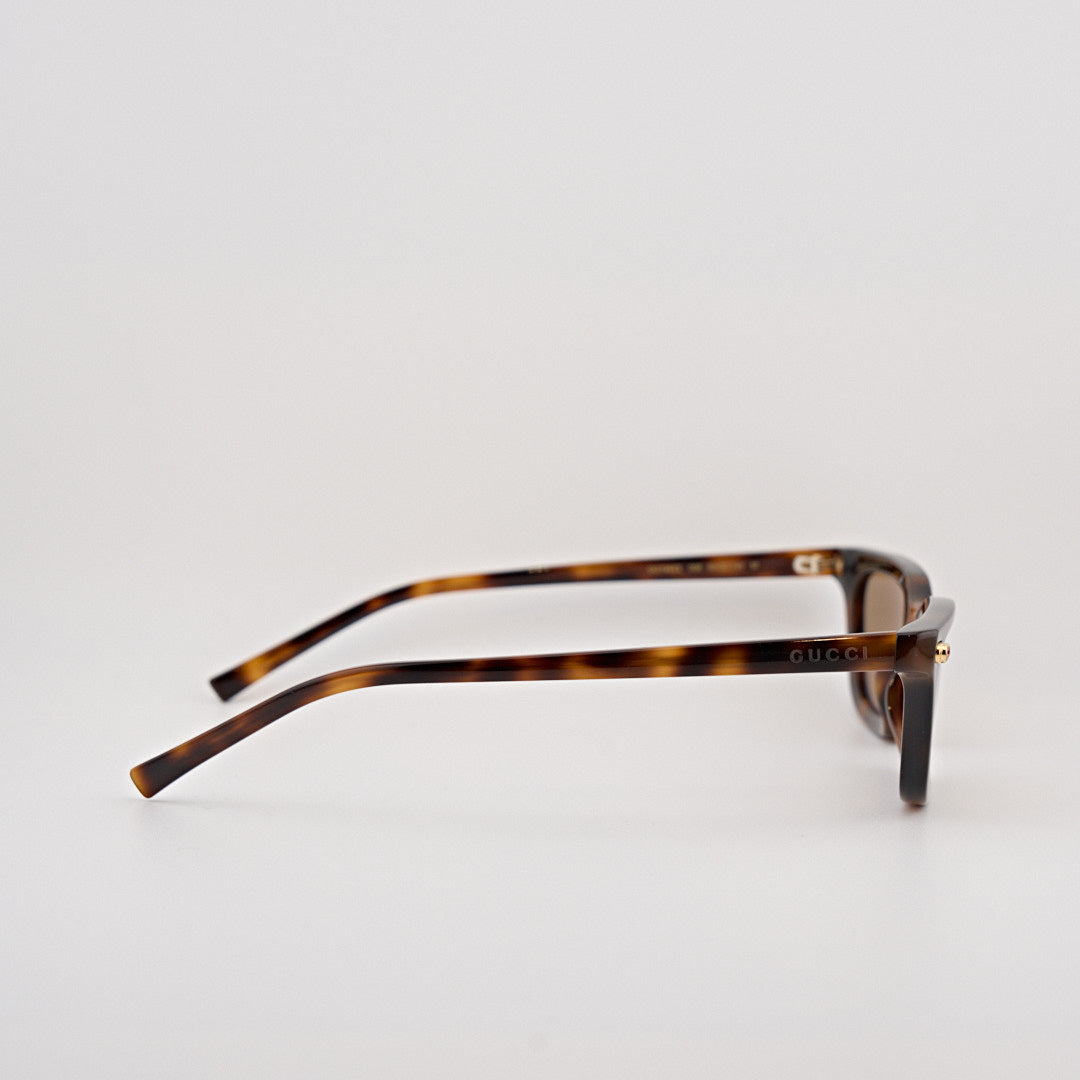 GUCCI GG1944S tartarugato